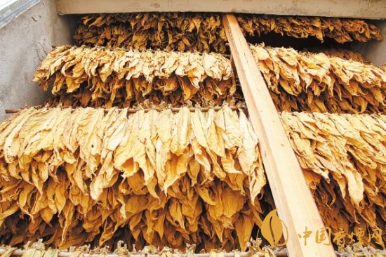 煙葉稅是什么，煙葉稅如何計算