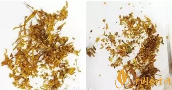 冬蟲夏草（和潤）真假鑒別，春節(jié)防止被騙