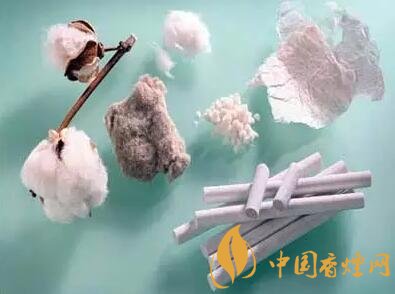 撬動煙草業(yè)發(fā)展 濾嘴創(chuàng)新成為強勁市場競爭力