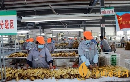 龍巖市局（公司）推行種采烤分一體化工作